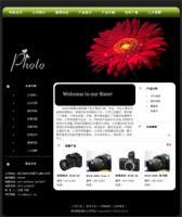 專業(yè)南澳網(wǎng)站建設(shè)、設(shè)計(jì)與制作，一站式商務(wù)服務(wù)解決方案
